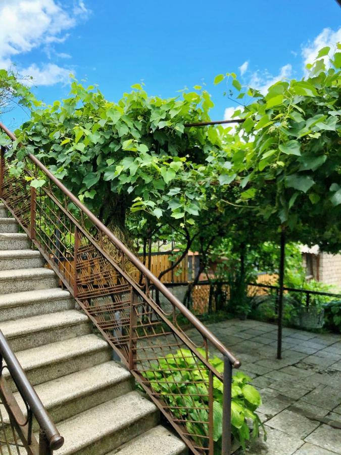 Achela'S Guesthouse Borjomi Eksteriør bilde