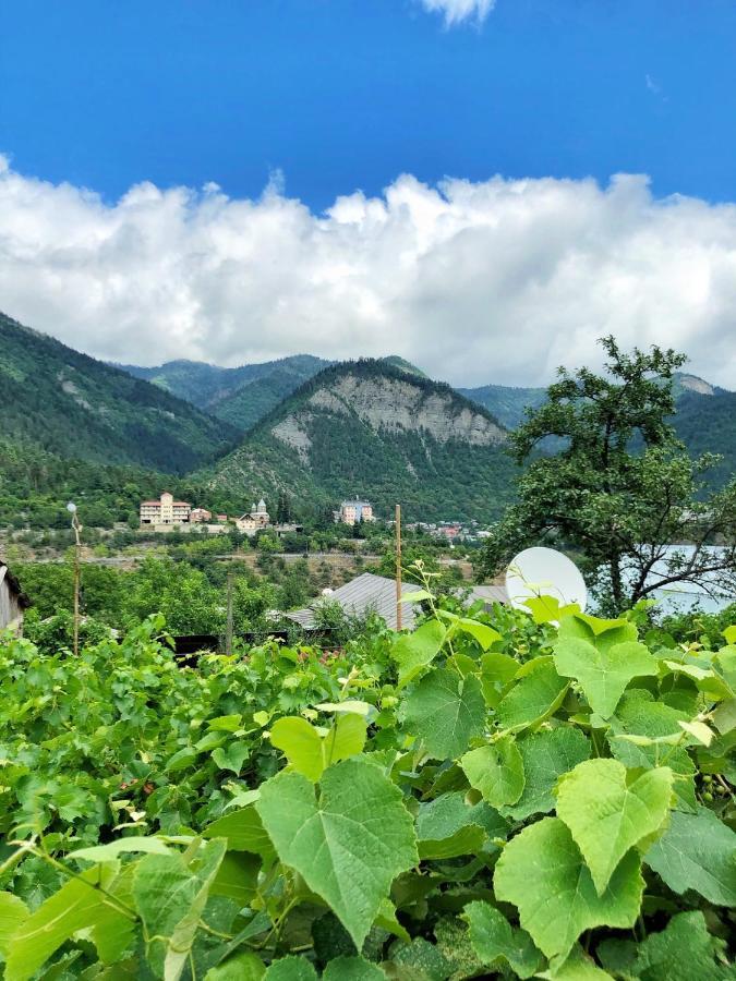 Achela'S Guesthouse Borjomi Eksteriør bilde