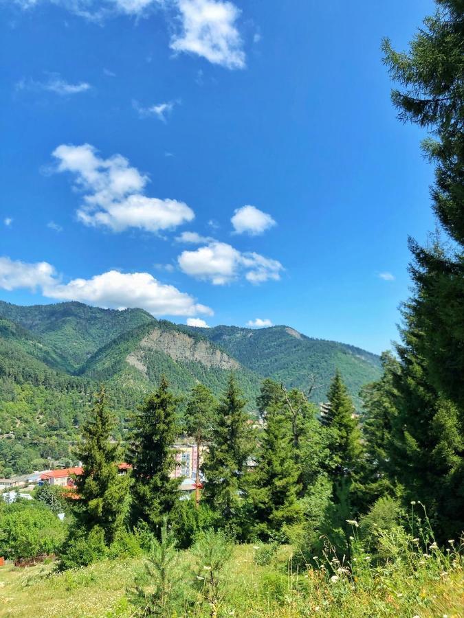 Achela'S Guesthouse Borjomi Eksteriør bilde