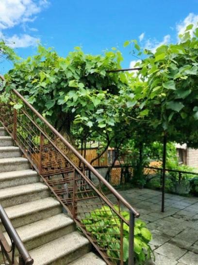 Achela'S Guesthouse Borjomi Eksteriør bilde